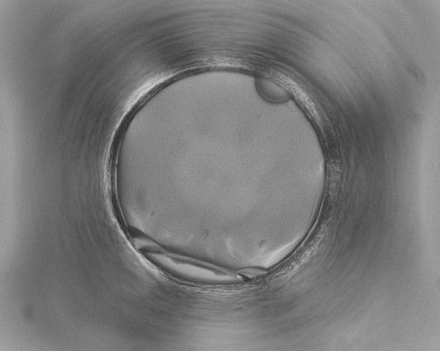 X0000115331141200911301522