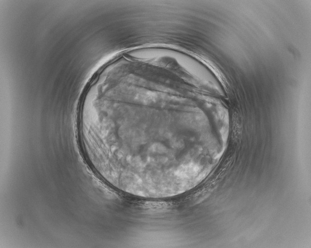 X0000115331142200911301522