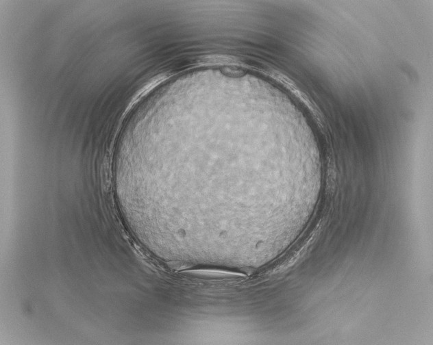 X0000115331145200911301522