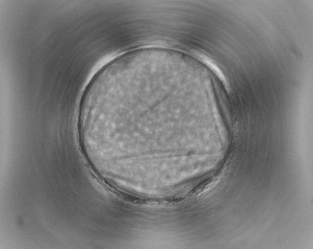 X0000115331146200911301522