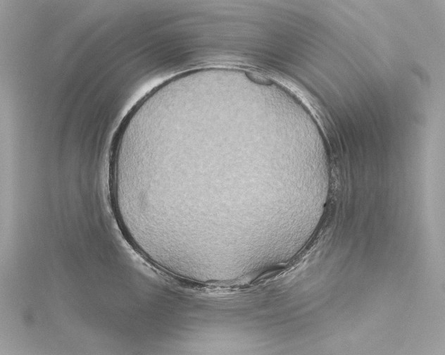 X0000115331147200911301522