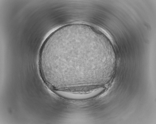 X0000115331149200911301522