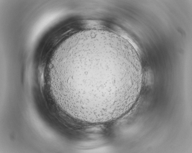 X0000115331150200911301522