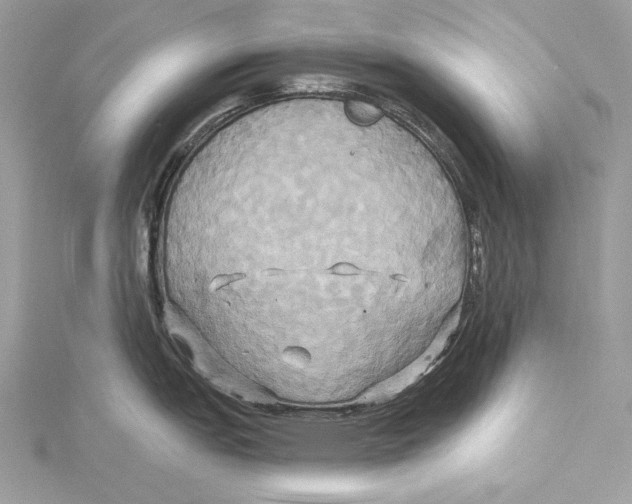 X0000115331151200911301522