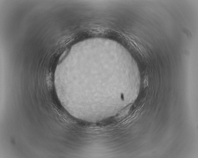 X0000115331156200911301522