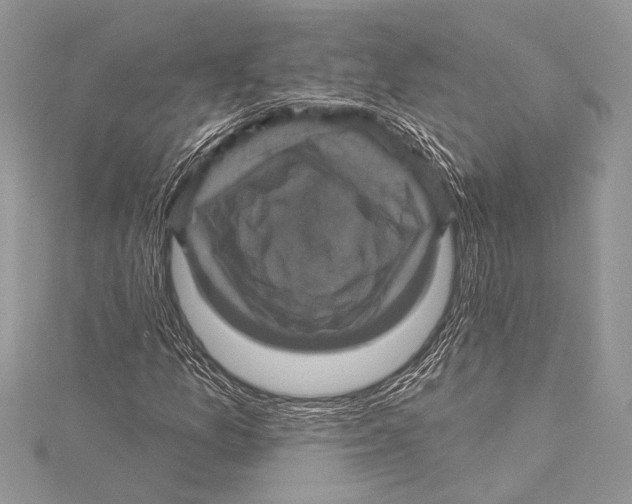 X0000115331157200911301522