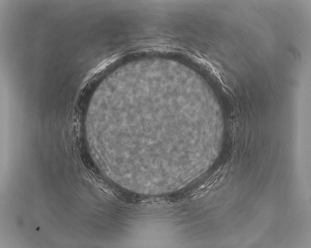 X0000115331159200911301522