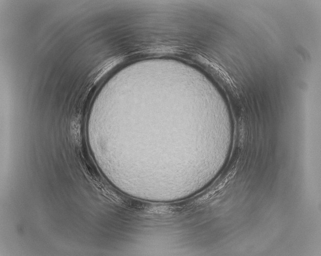 X0000115331162200911301522