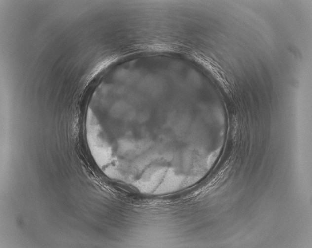 X0000115331163200911301522