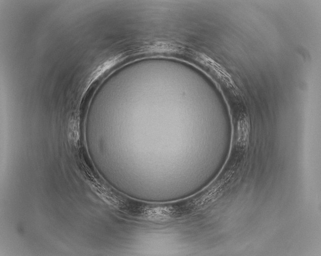 X0000115331165200911301522