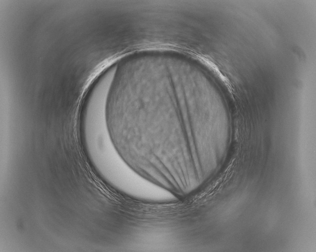 X0000115331167200911301522