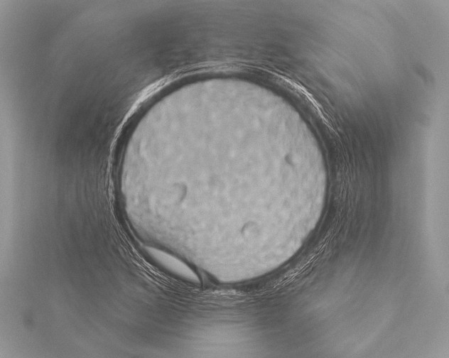 X0000115331168200911301521