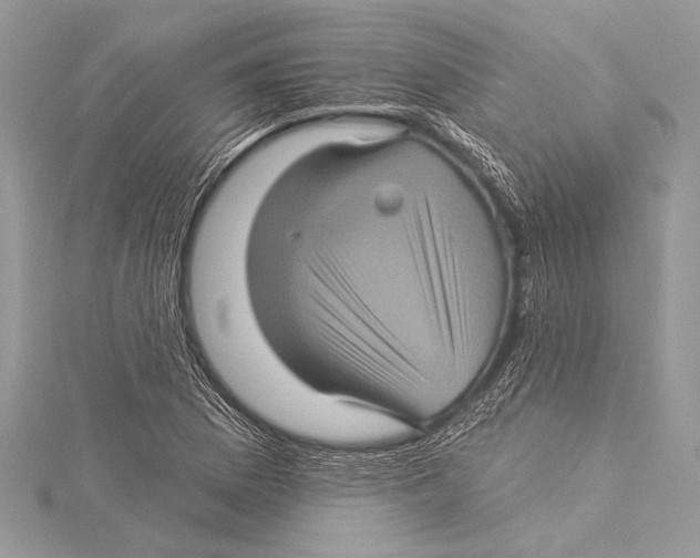 X0000115331169200911301521