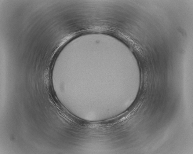 X0000115331170200911301521