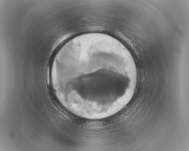 X0000115331171200911301521