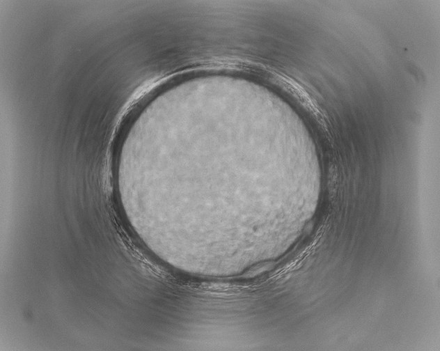 X0000115331172200911301521