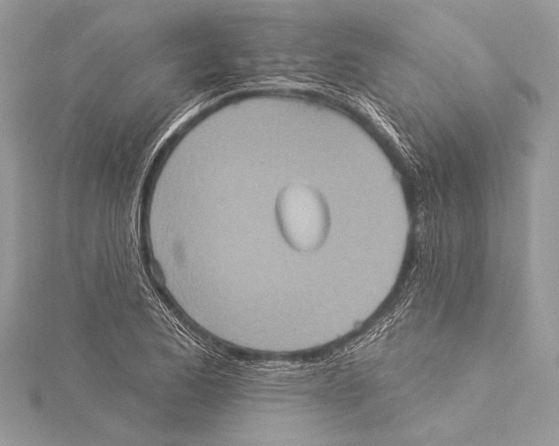 X0000115331173200911301521