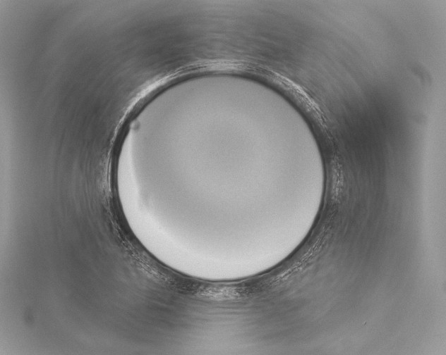 X0000115331174200911301521