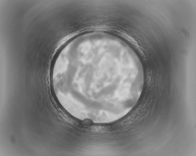 X0000115331176200911301521