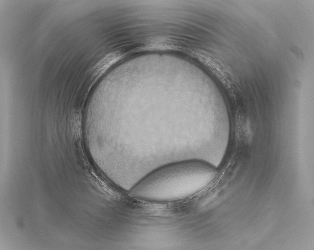 X0000115331177200911301521