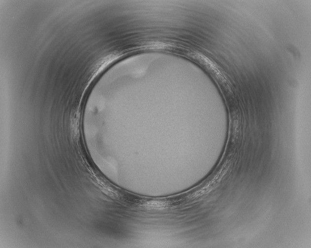 X0000115331178200911301521