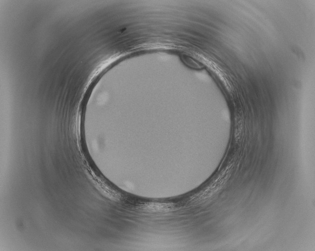 X0000115331179200911301521