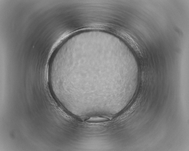 X0000115331180200911301521