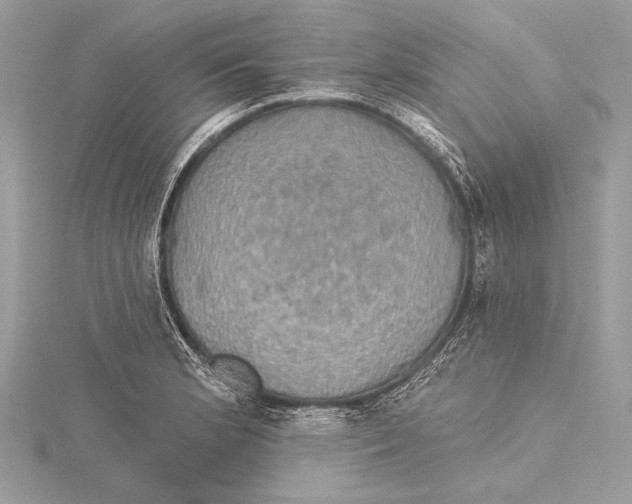 X0000115331181200911301521