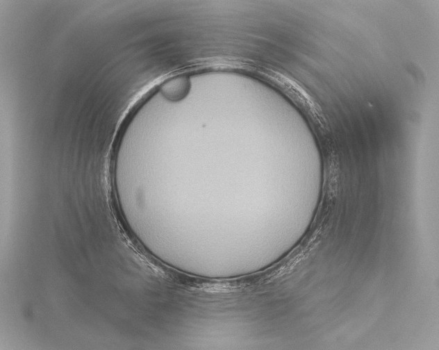 X0000115331182200911301521