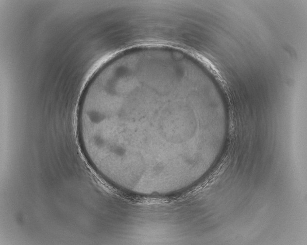 X0000115331183200911301521