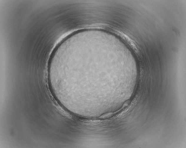 X0000115331184200911301521