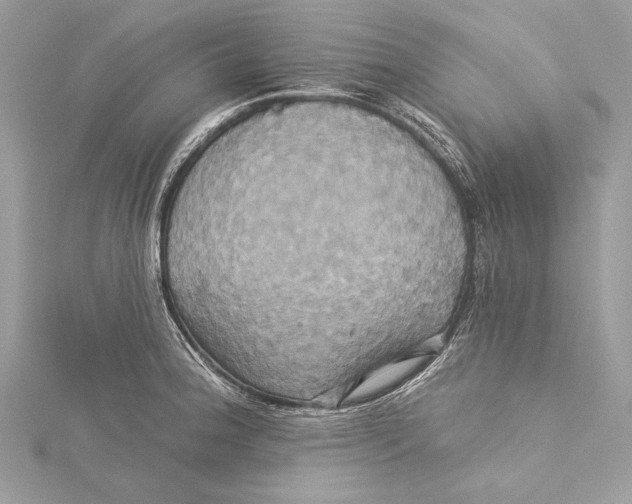 X0000115331188200911301521