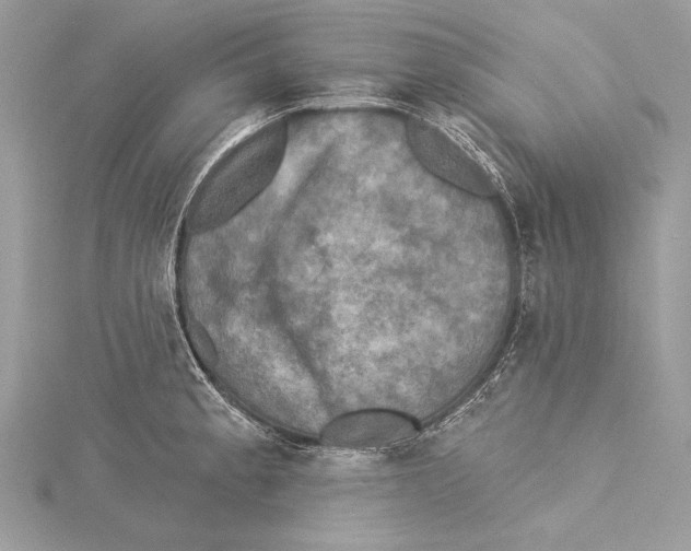 X0000115331189200911301521