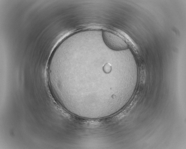 X0000115331190200911301521