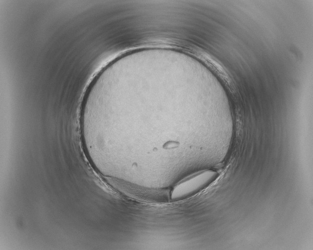 X0000115331192200911301521