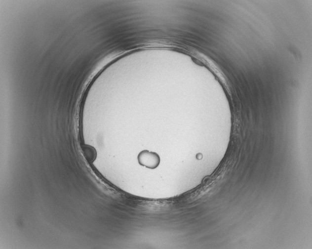 X0000115331195200911301521