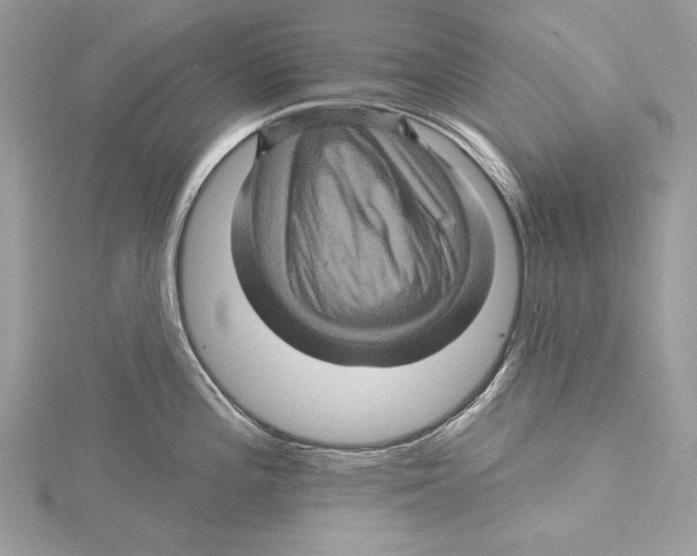 X0000115331196200911301521