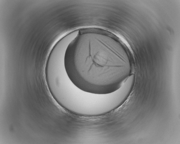 X0000115331197200911301521