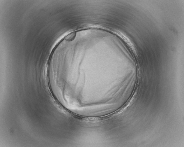 X0000115331198200911301521