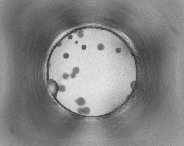 X0000115331199200911301521