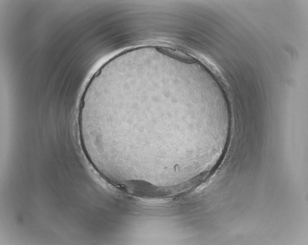 X0000115331200200911301521