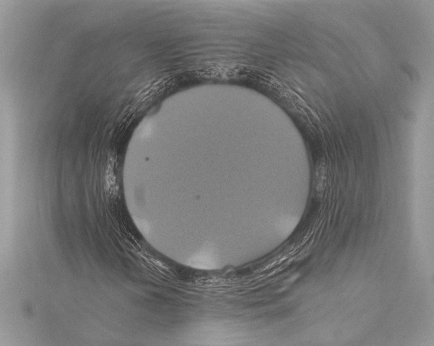 X0000115331202200911301520