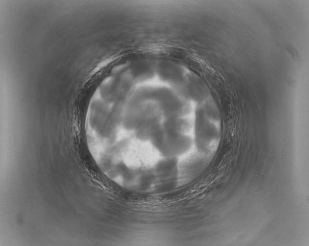 X0000115331206200911301521