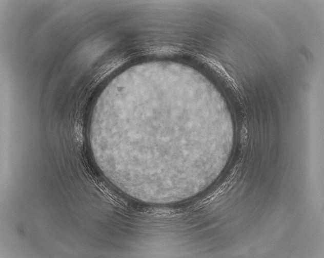 X0000115331209200911301521