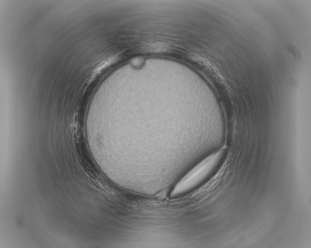 X0000115331210200911301521