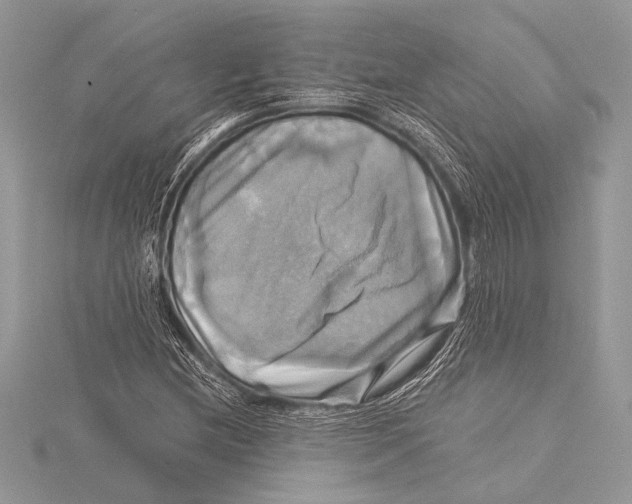 X0000115331212200911301521