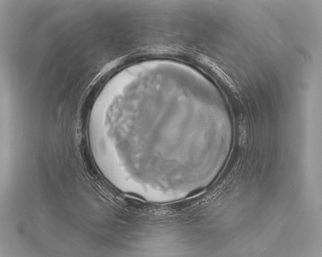 X0000115331213200911301521