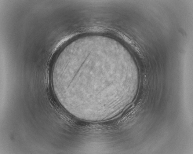 X0000115331214200911301521