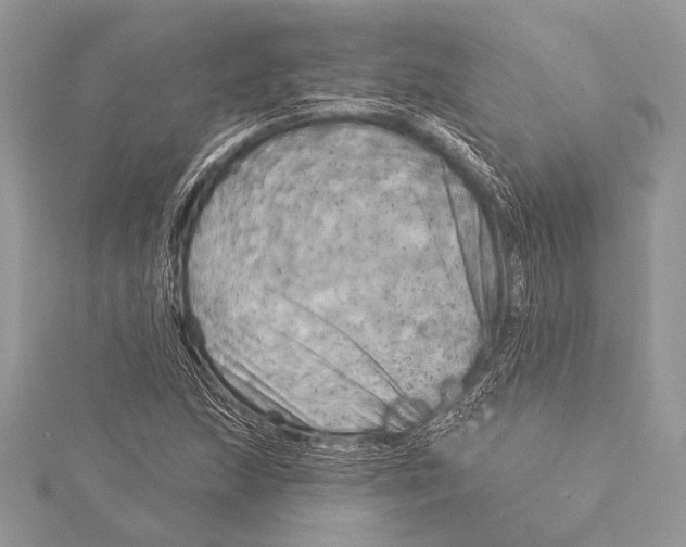 X0000115331215200911301521