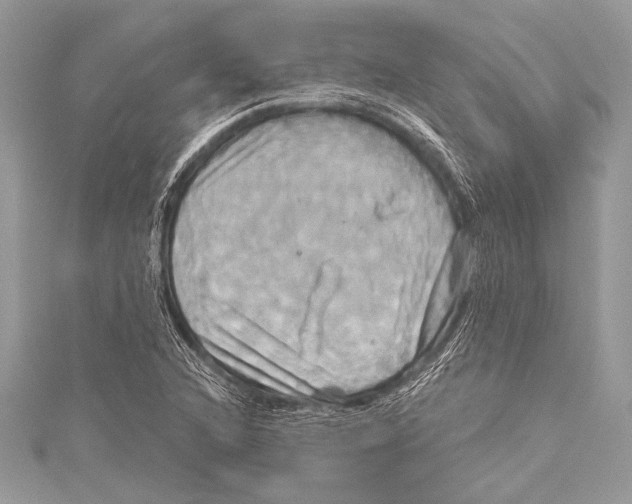 X0000115331216200911301521